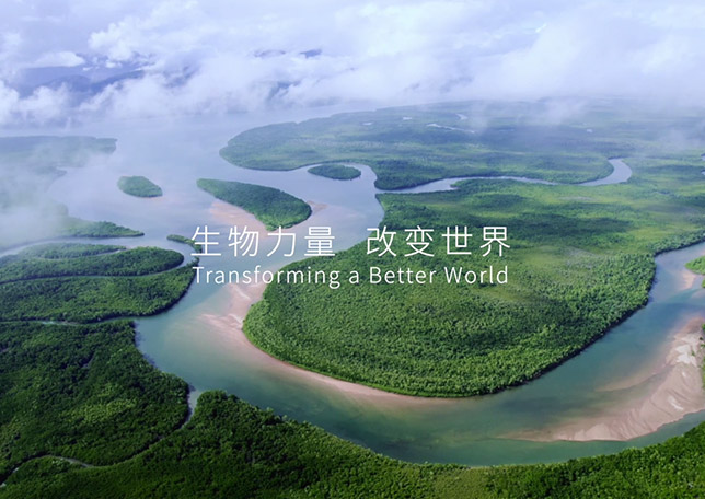 pp电子极速糖果品牌宣传片